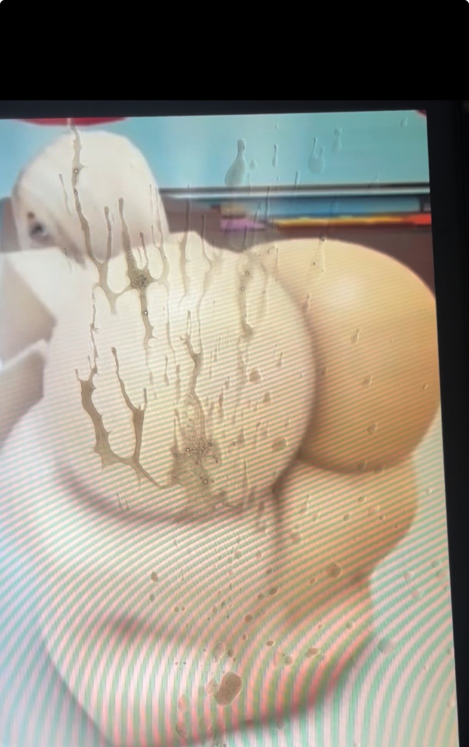 Thick_Sweaty_Roblox_Gal3 Cum Tribute #PzJYQDC2